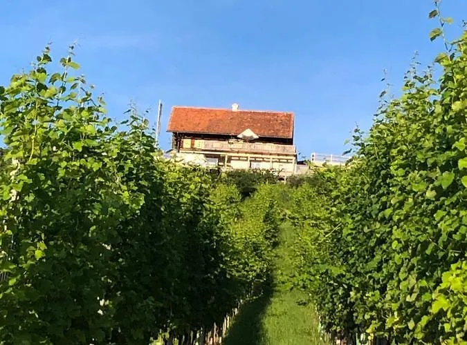 Georgiberg * إيهرينهاوزين